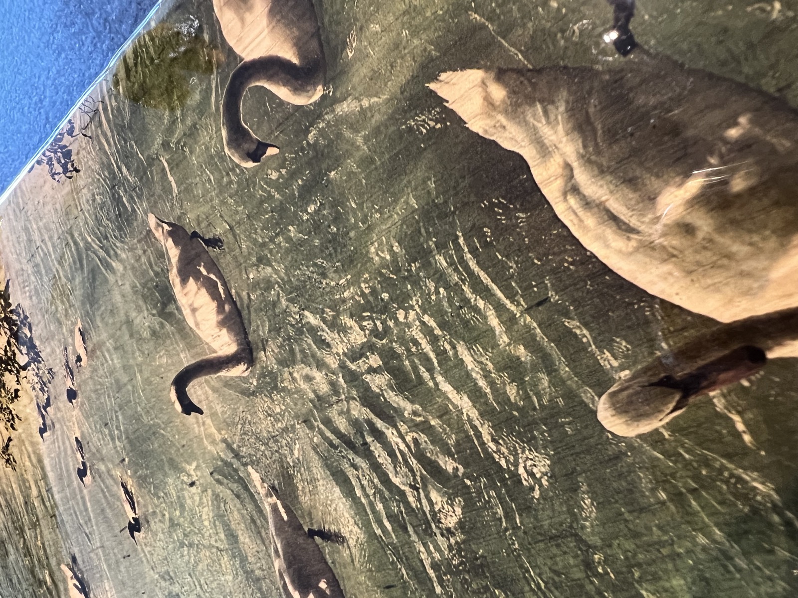Foto auf Holz mit Epoxy-Versiegelung – Bild 2 von 6